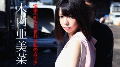 Caribbeancom 110619-001 快楽へ引き込まれる私のカラダ
