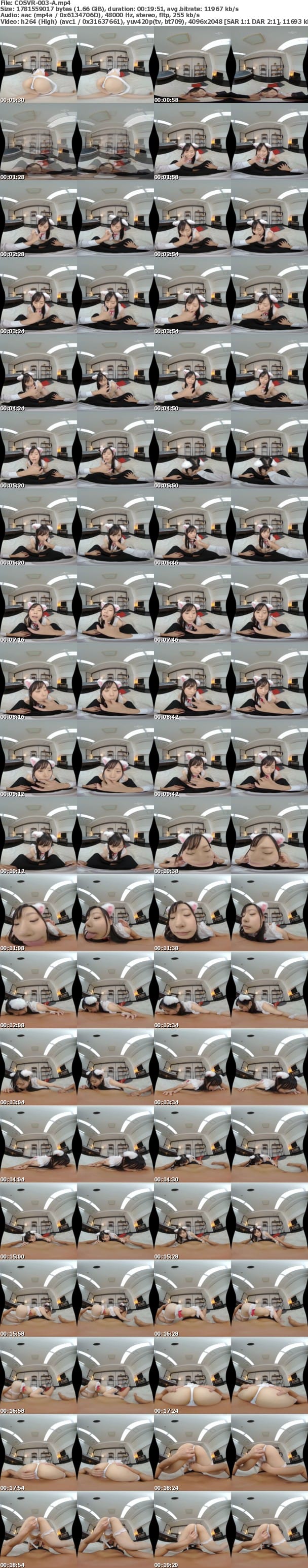 (VR) COSVR-003 ご主人さまが大好きなネコミミ少女のペロペロちゅぱちゅぱ舐め回しラブラブナマ中出しSEX 優木しの