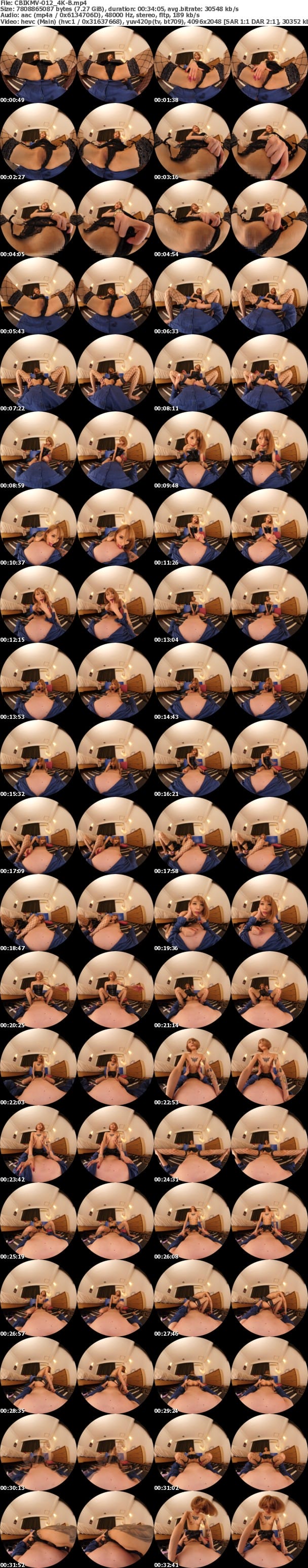 (VR) [4K] CBIKMV-012 絶対予約が取れない180cm超長身タトゥー美女 エル なぶり超脚テク、舌ワザ。生姦激ピス、連続イキで何度も中出し 佐藤エル