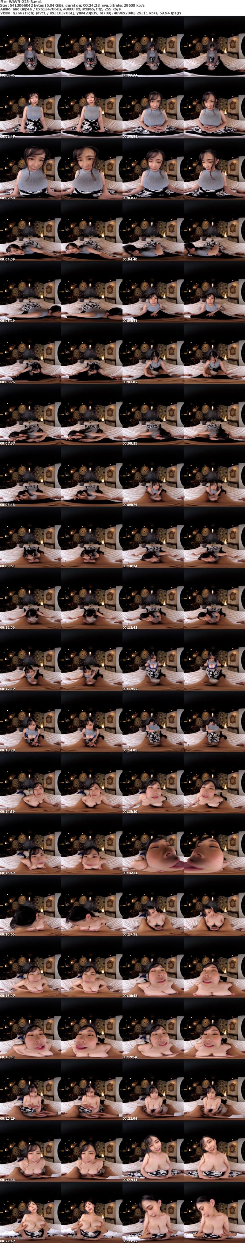 (VR) WAVR-223 酔った勢いで行き遅れ女上司BBAとSEXしてしまったボク。 あの日からというもの超絶名器マ○コが忘れられず…再びBBAをホテルに呼び出して人生で最高に気持ちいい中出しVR